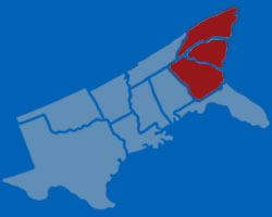 Local 1263