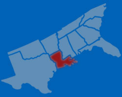 Local 729